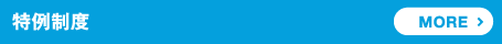 特例制度