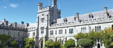 本学独自の海外研修プログラム