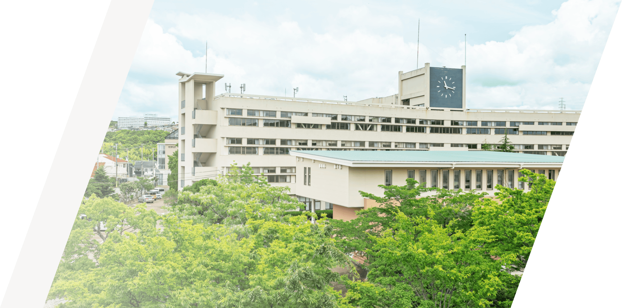神戸親和大学校舎